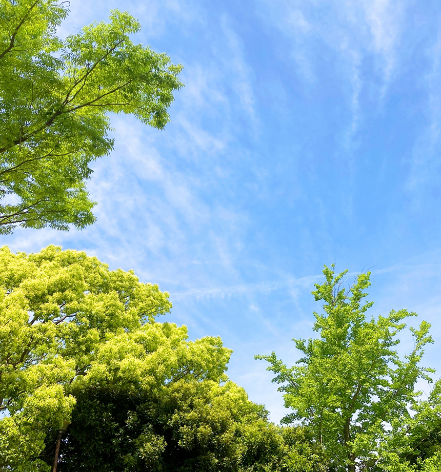 お任せください。
私達に
お悩みならば、
〇〇〇〇に